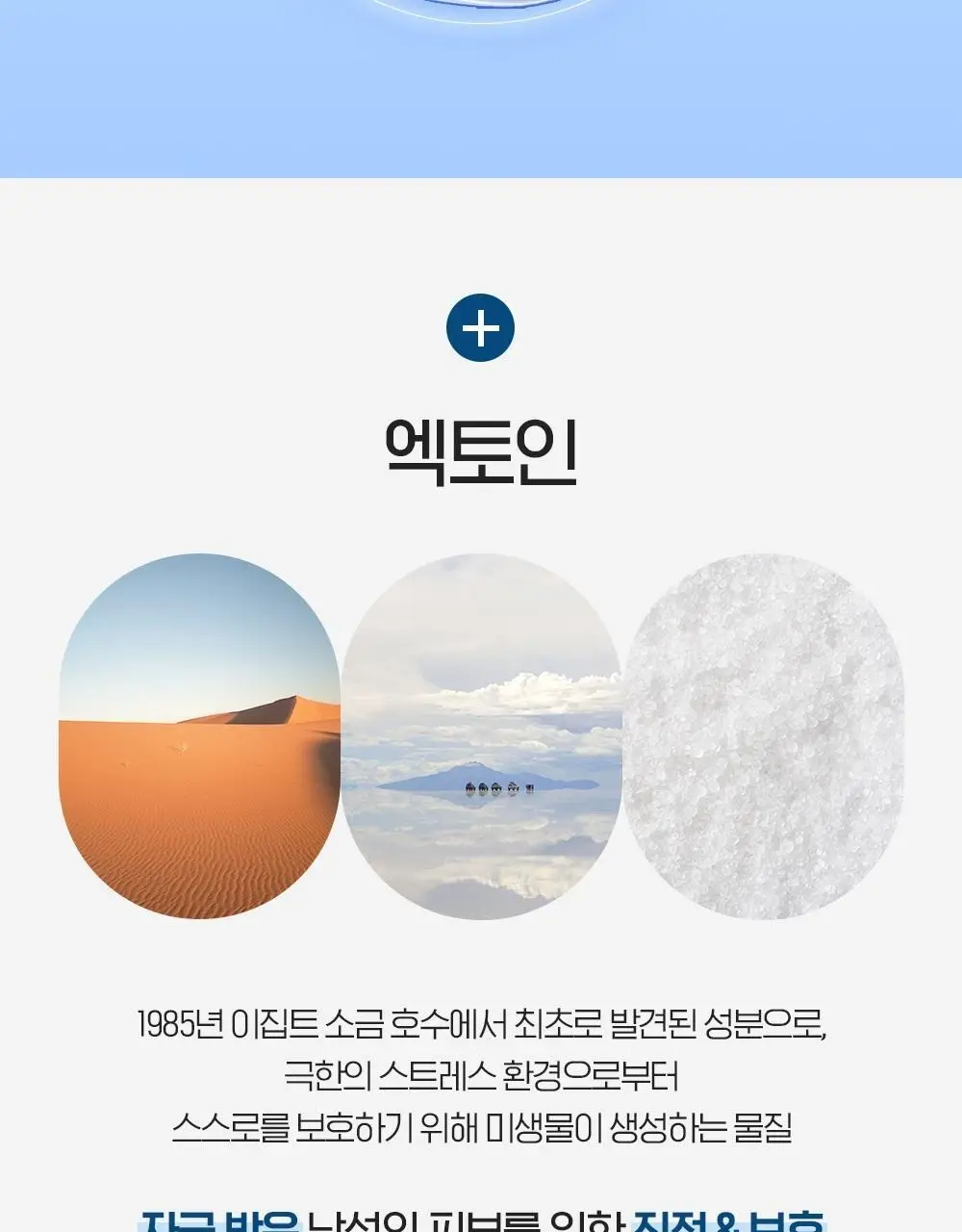 [NEW] 빌리프 맨올로지 프로텍티브 엑토인 토너 150ml 상세페이지 19
